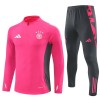 Deutschland Training Sweatshirts Quarter-zip 2024-25 Rosa Für Herren